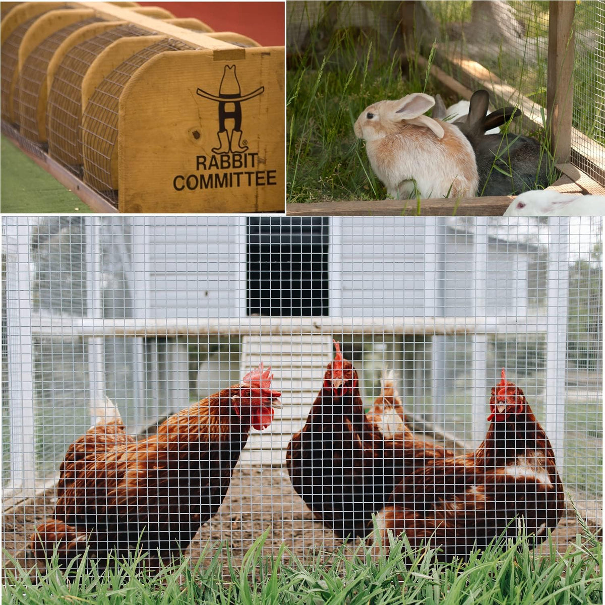 Galvanized 1/2inch Hardware Cloth Wire Mesh Fence O45000