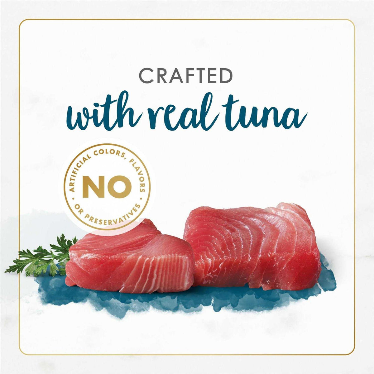 Tuna Recipe in Gravy Wet Cat Food B9603