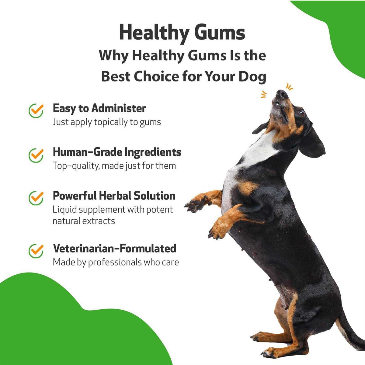 Healthy Gums for Feline Periodontal Health P755