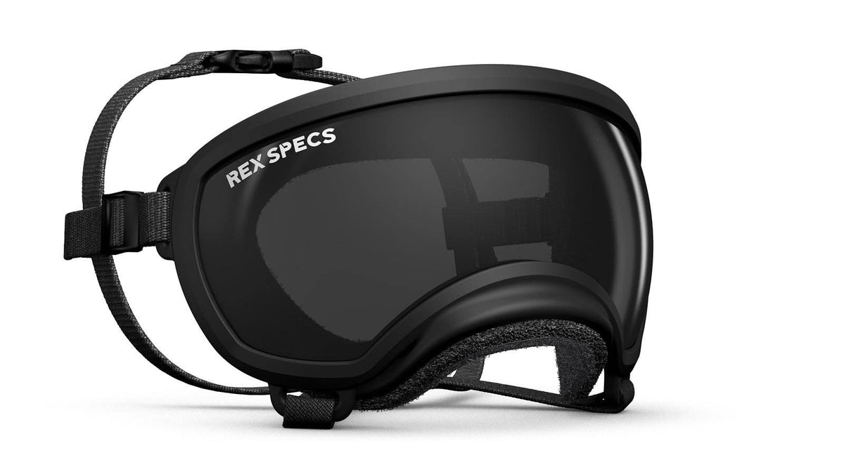 Black Goggle with 1 Clear & 1 Smoke Lens Q284628