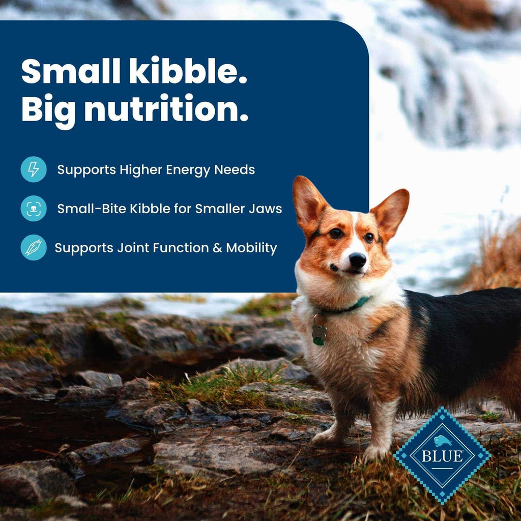 Dry Dog Food R9167