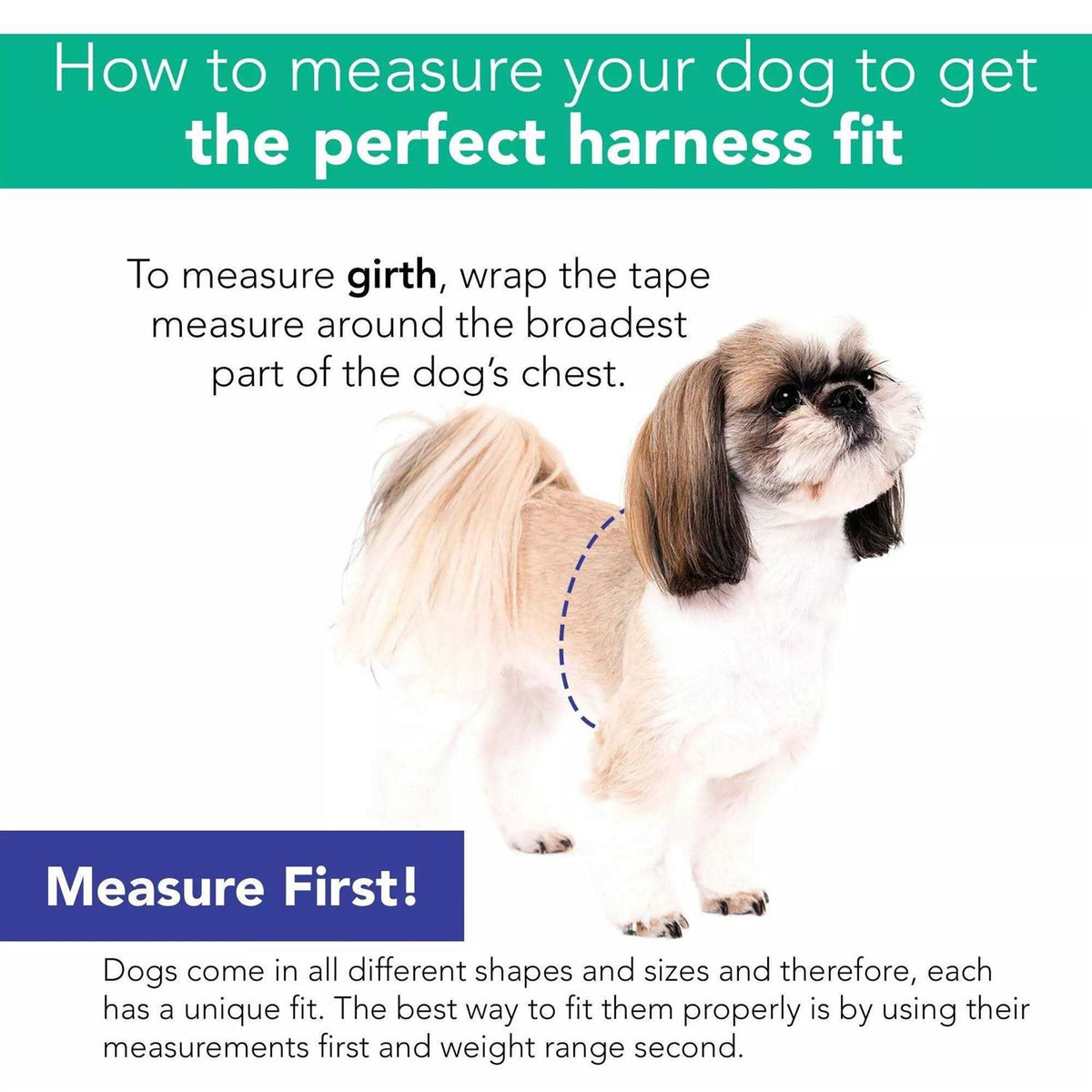 Canvas Dog Harness B455