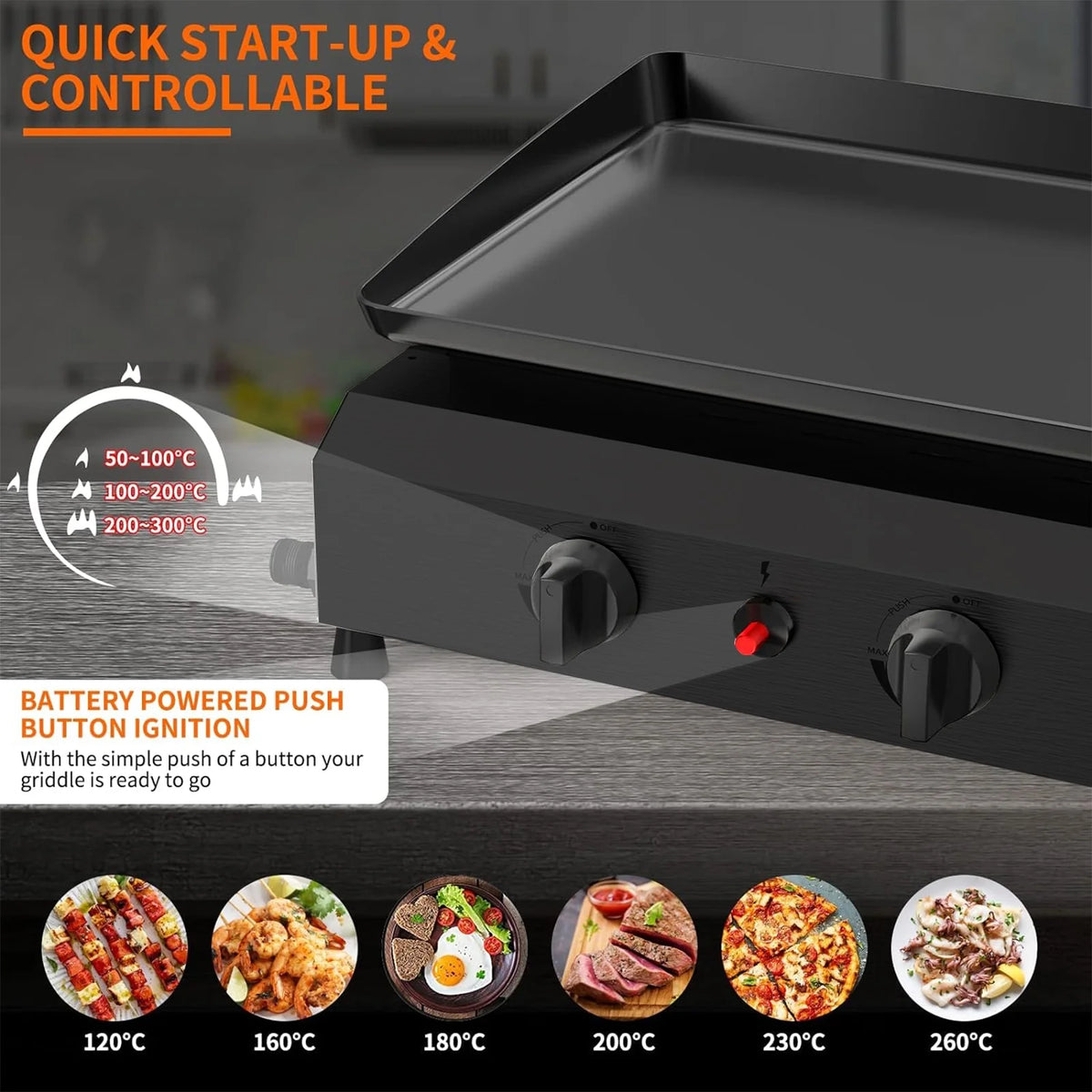4-Burner Propane Gas BBQ Grill C409012