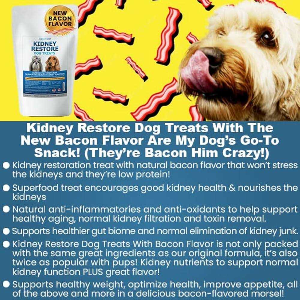 Low Protein Dog Treats for Kidney Support H495669