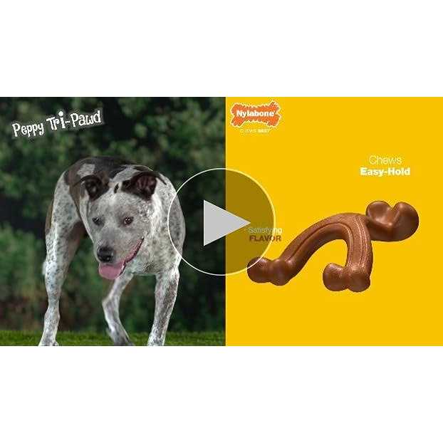 Chicken Chew Bone N607961