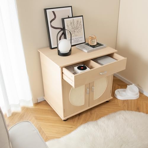 Natural Cat Litter Box Enclosure with Storage Shelf X307