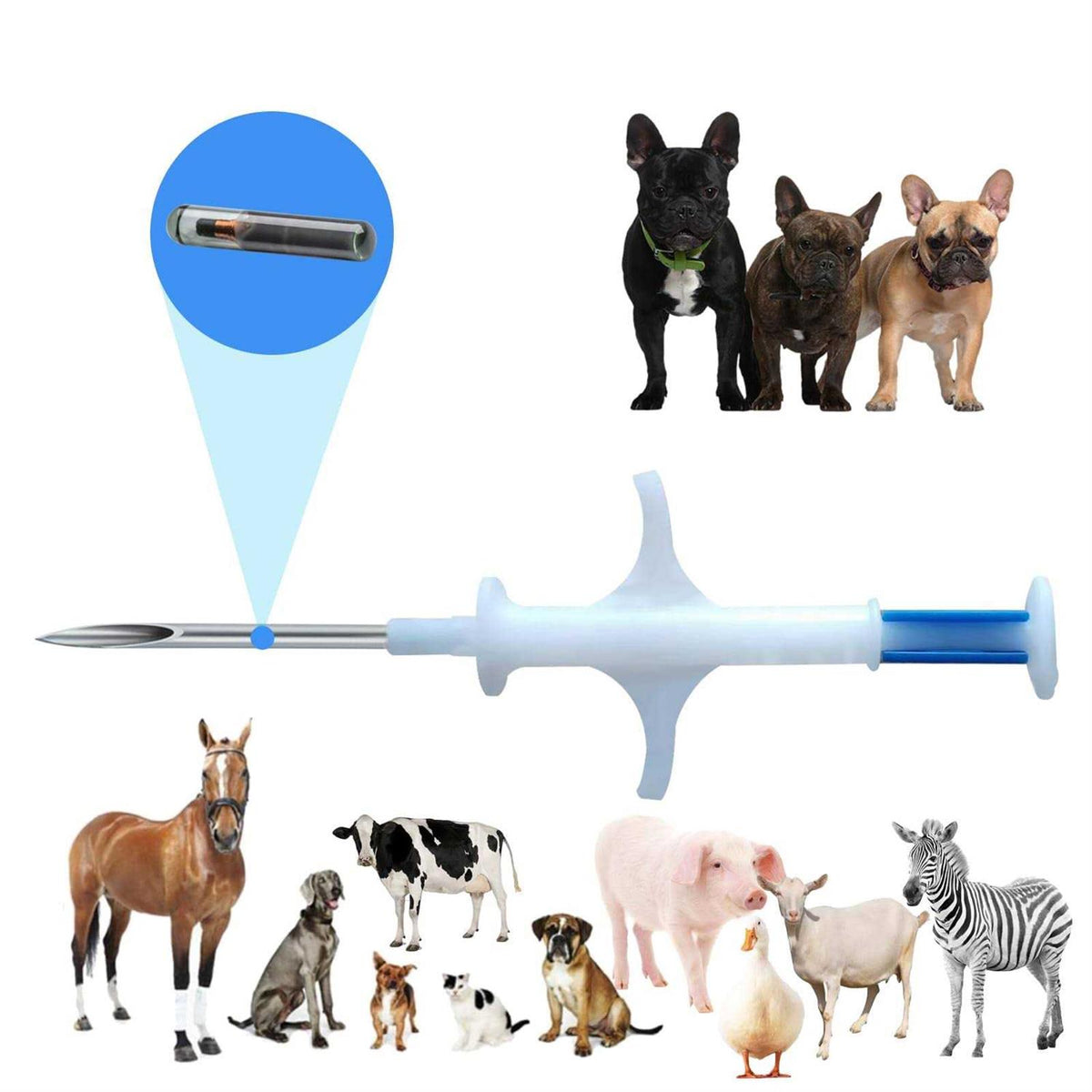 Microchip for Dogs and Cats 20 Pack Animal Identification Syringe R948