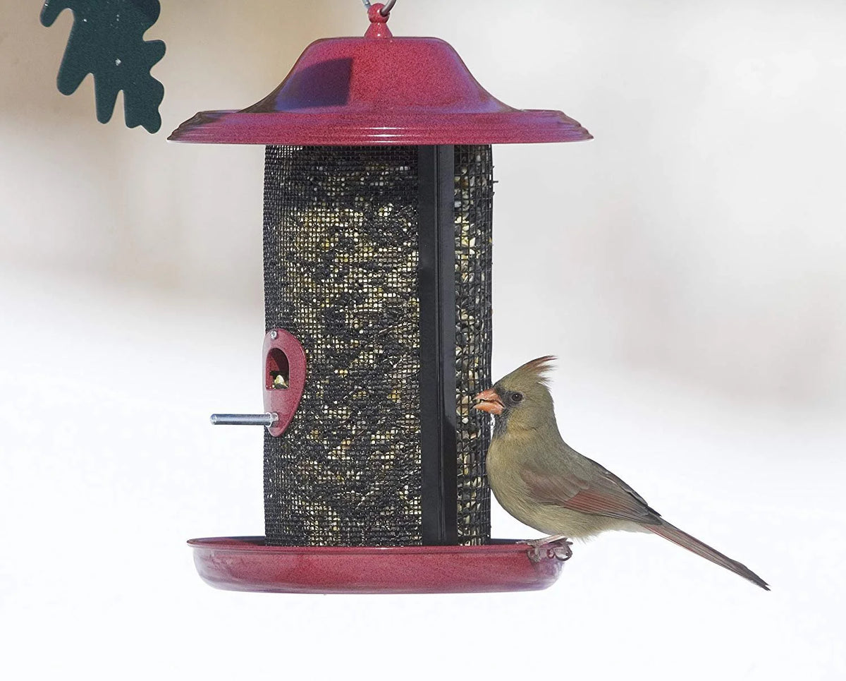 Red Twin Chamber Bird Feeder with Metal Roof Z98932