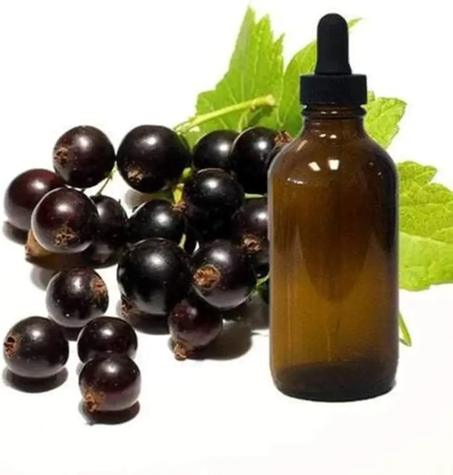 Black Currant Seed Oil 8oz Glass Bottle Y43842