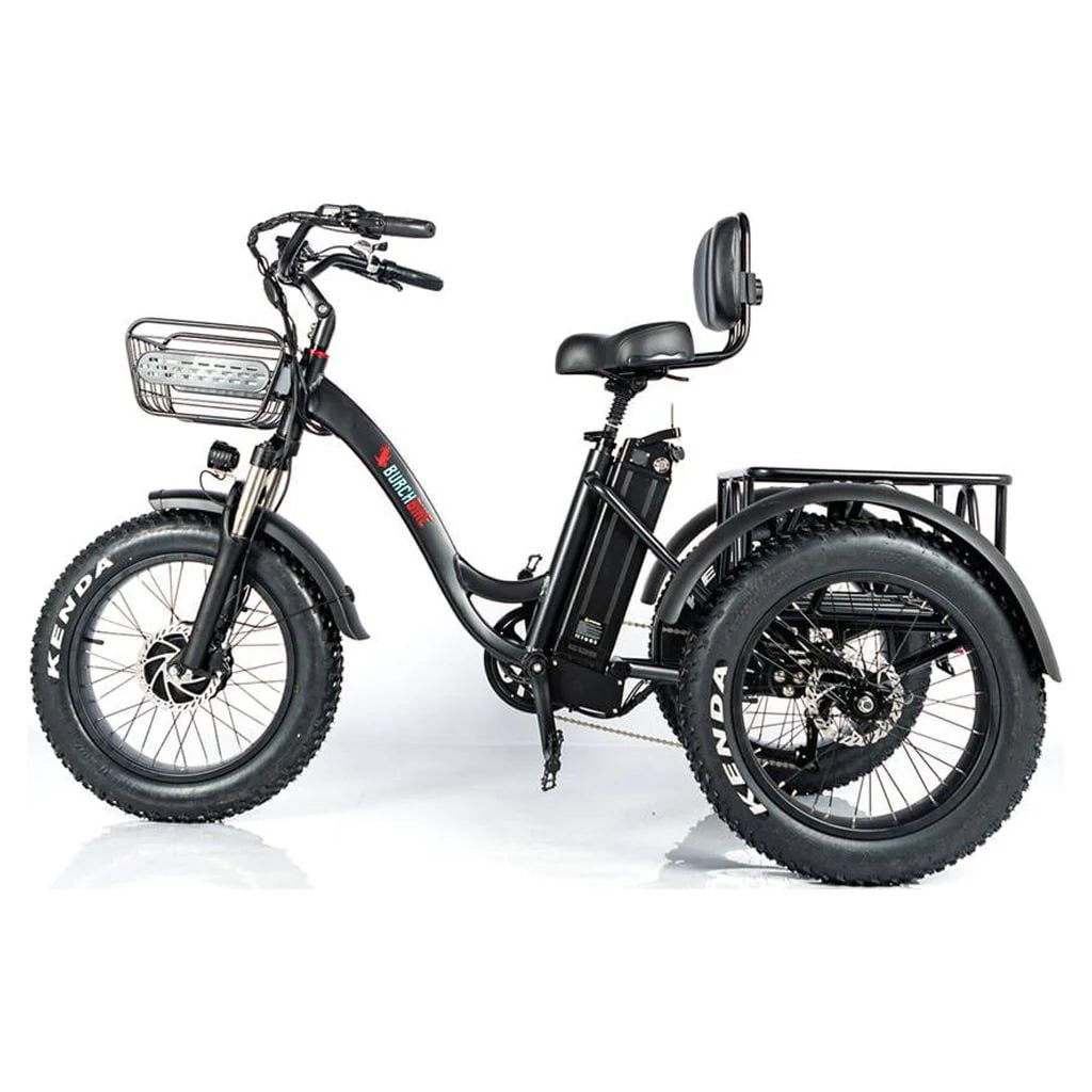 24 Inch Fat Tire 3 Wheel Electric Tricycle B9699