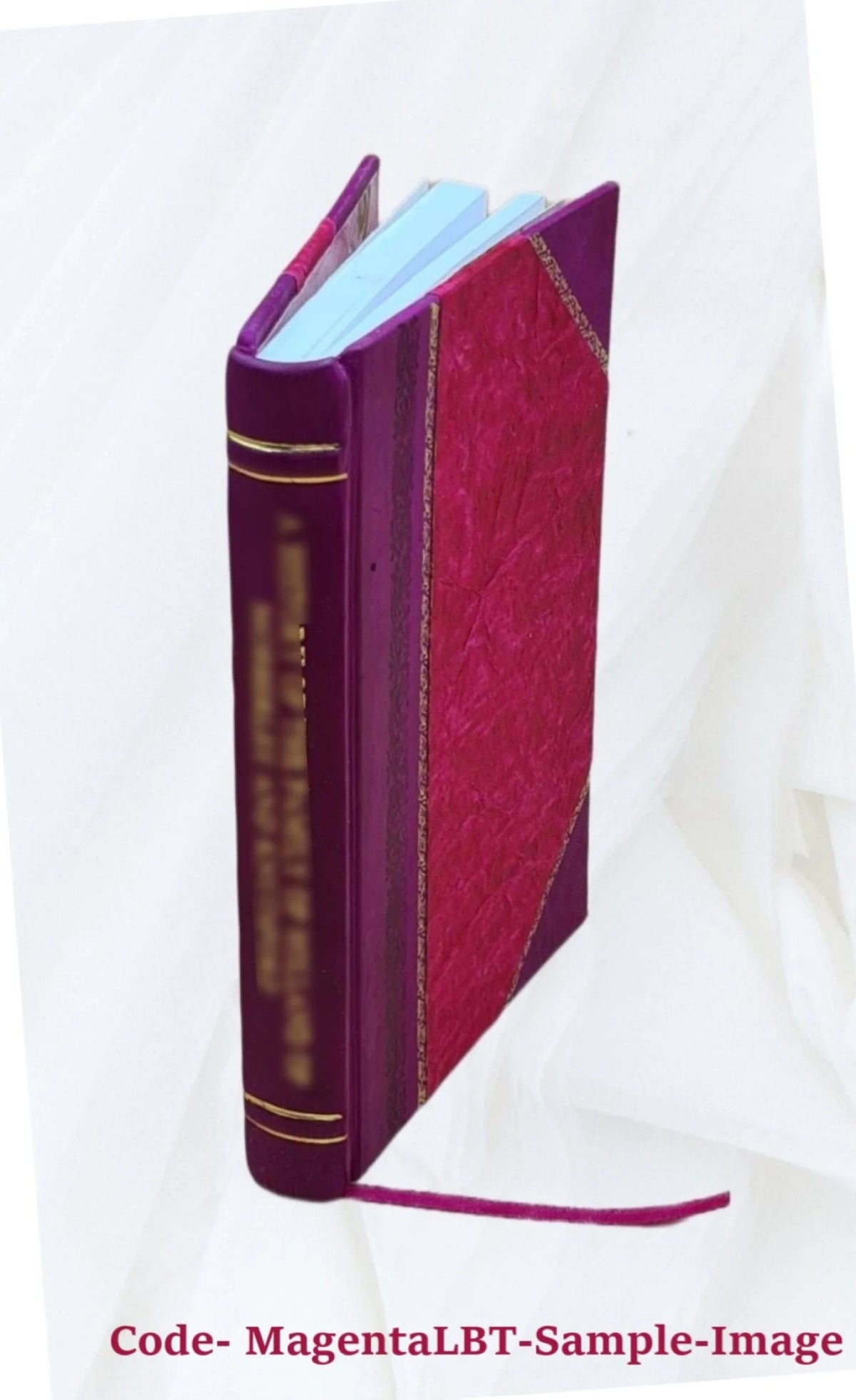 Leather Bound Book F102196