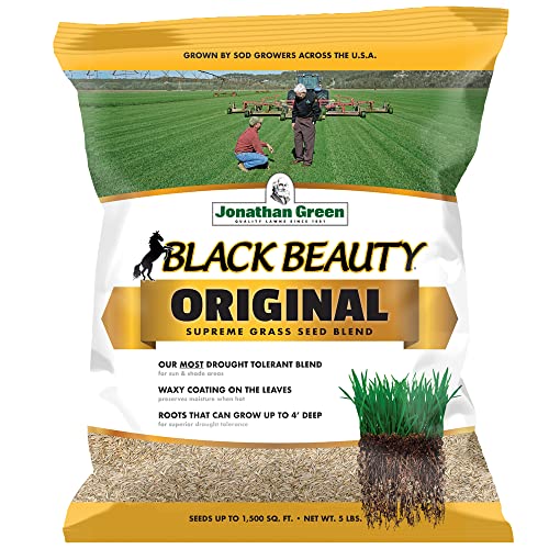 Black Beauty Grass Seed Mix, 25-Pound I88590