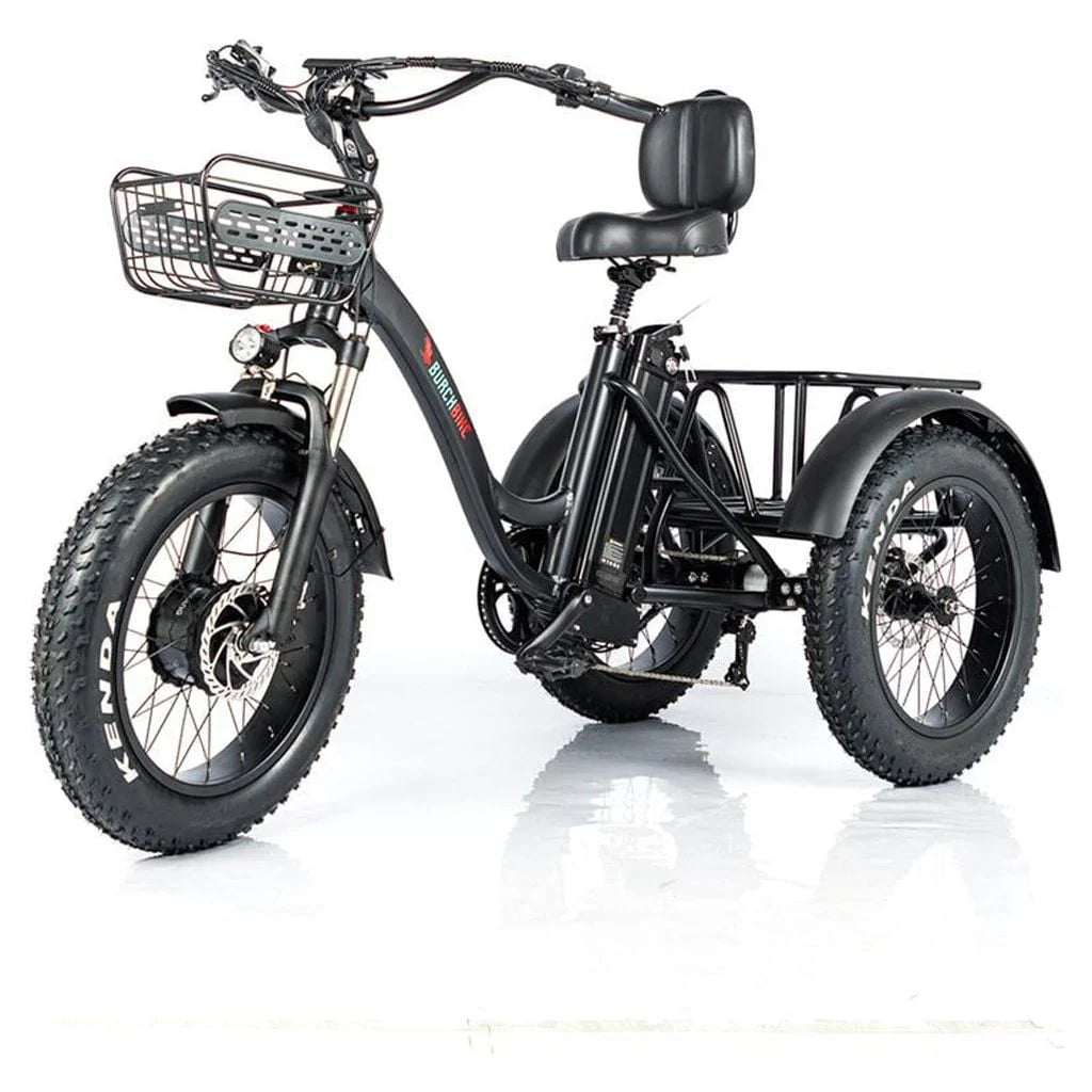 24 Inch Fat Tire 3 Wheel Electric Tricycle B9699