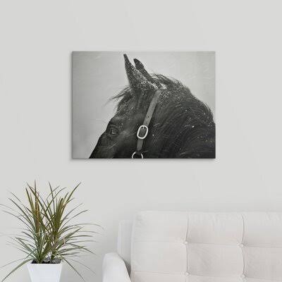 Photographic Print Canvas G1648