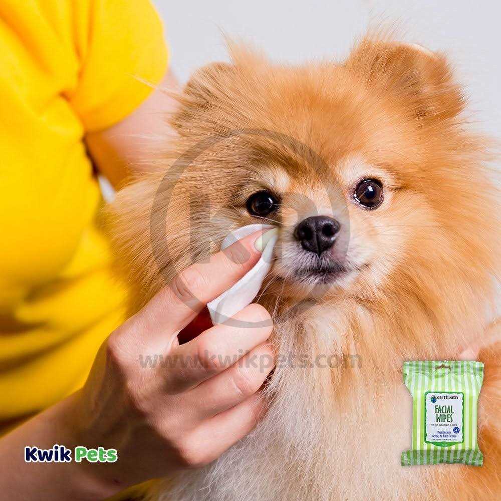 Facial Wipes for Dogs & Cats L307