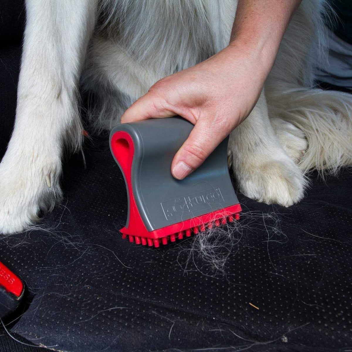 Dog Hair Remover B668341