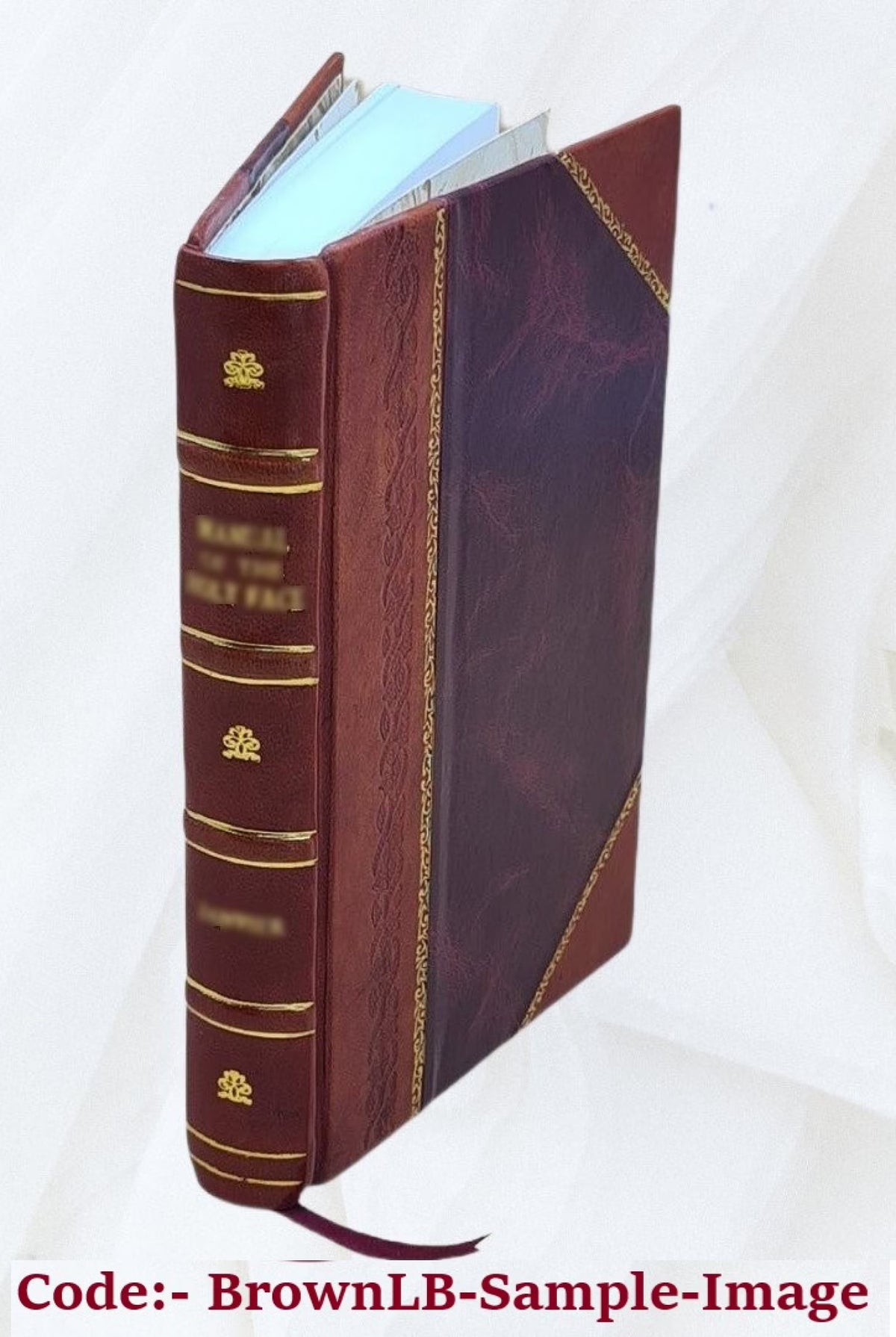Leather Bound Book N2290