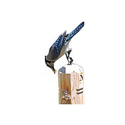 Suet Plugs Variety 16 Pack Y73564