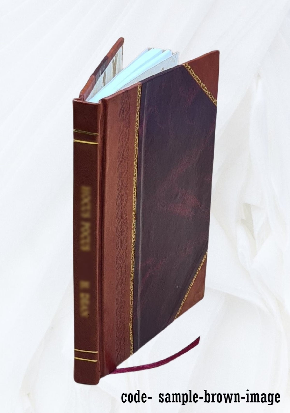 Leather Bound Book F102196