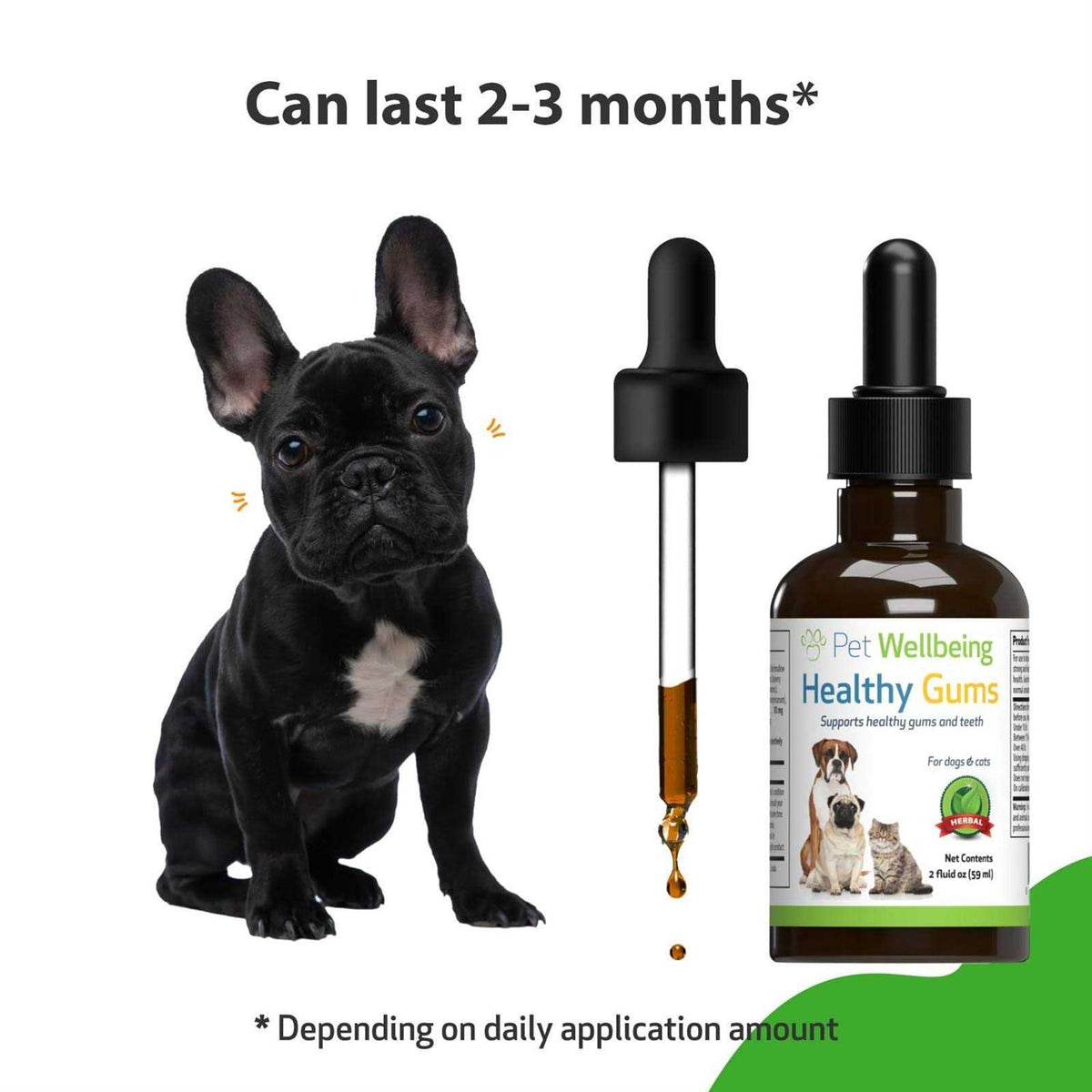 Healthy Gums for Feline Periodontal Health P755