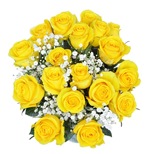 Yellow Roses and Baby's Breath Fresh Flower Bouquet with Vase G493