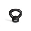 80 lb Single Kettlebell E765678