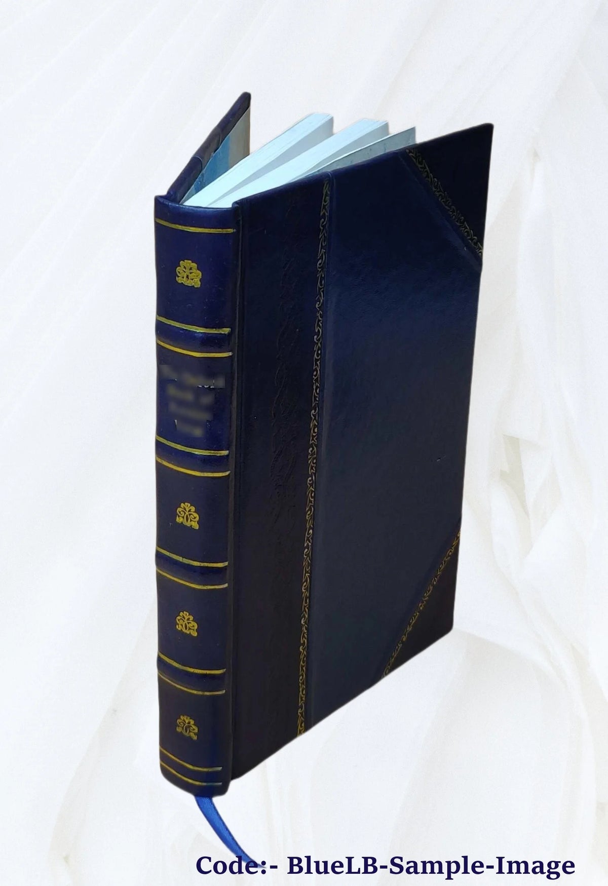 Leather Bound Book Q2824