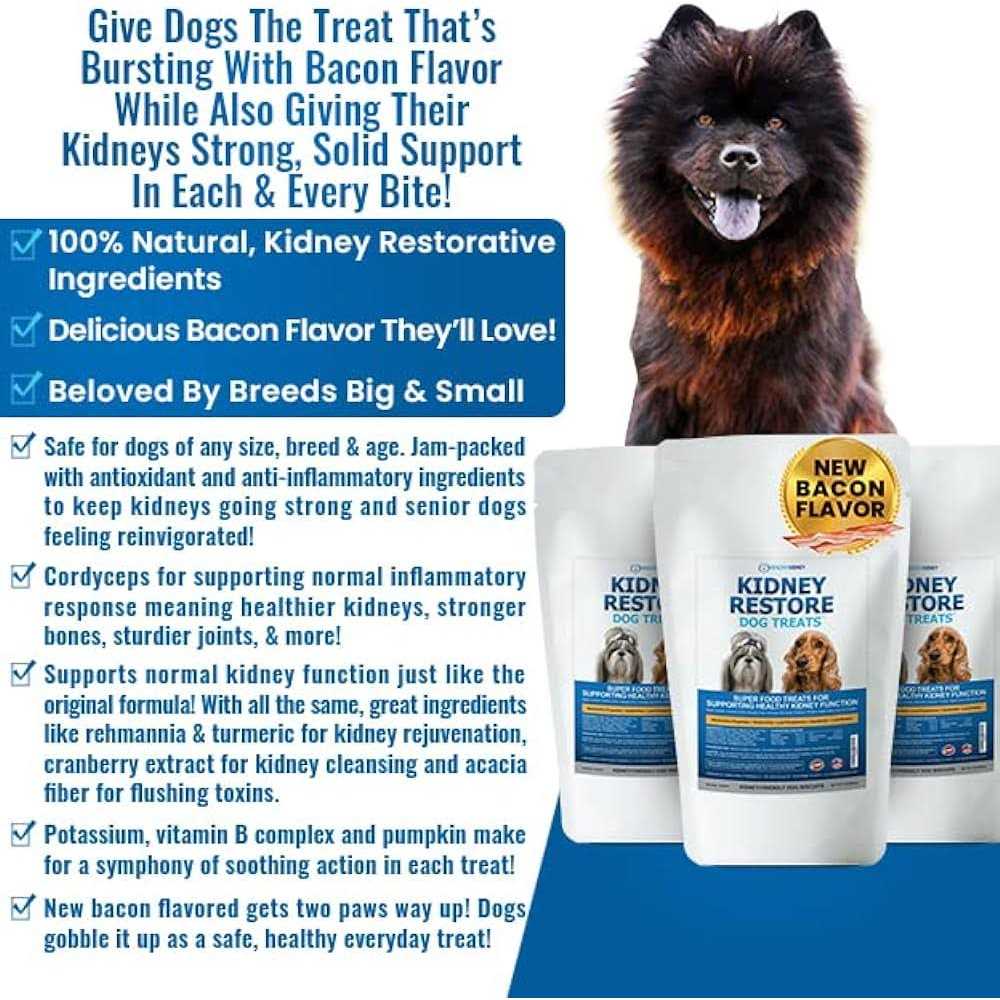Low Protein Dog Treats for Kidney Support H495669