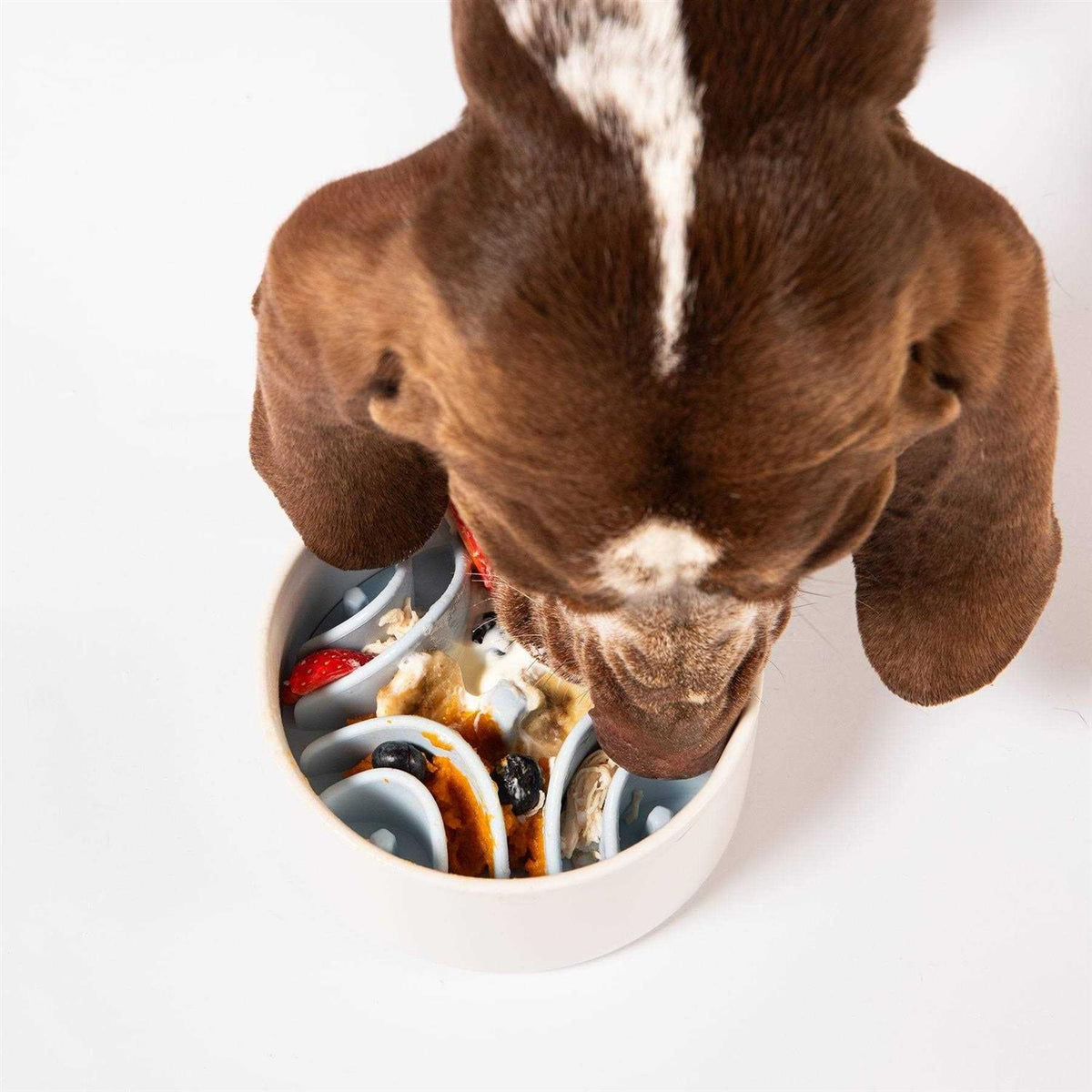 Silicone Dog Feeding Mat K43409