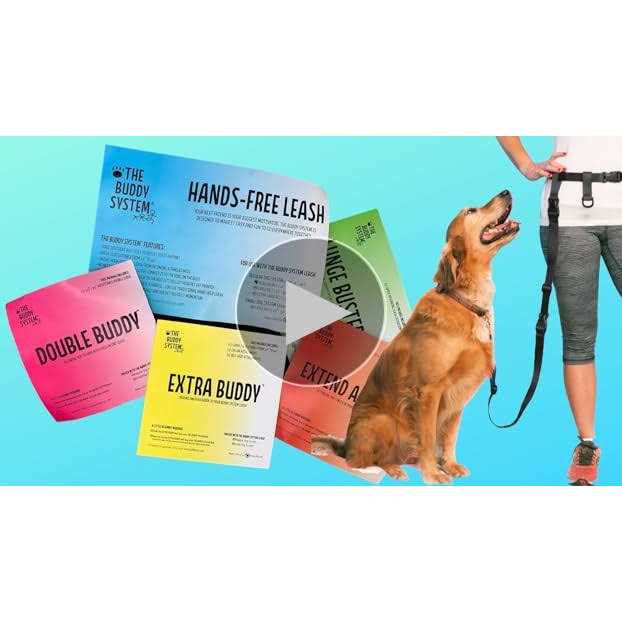 Adjustable Hands Free Dog Leash T16906