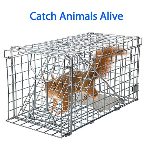 Heavy Duty Live Animal Trap A83999