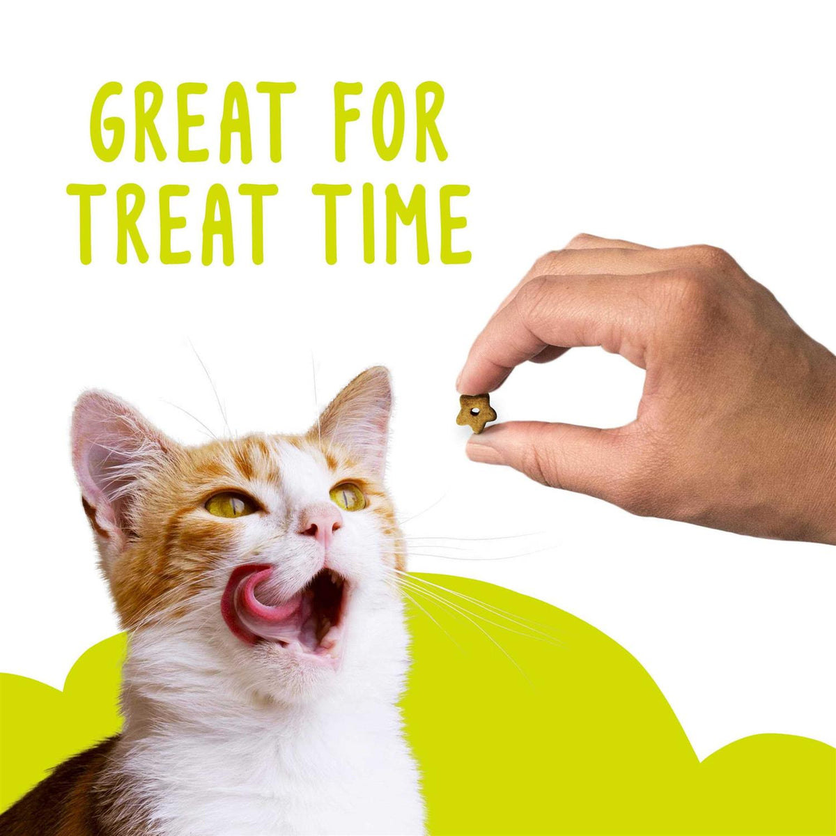 Cat Treats Party Mix Z2969