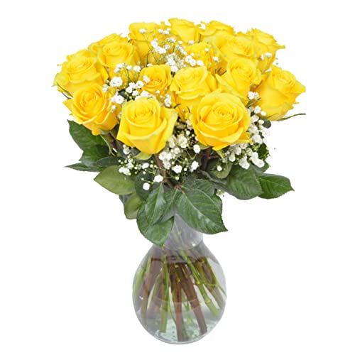 Yellow Roses and Baby's Breath Fresh Flower Bouquet with Vase G493
