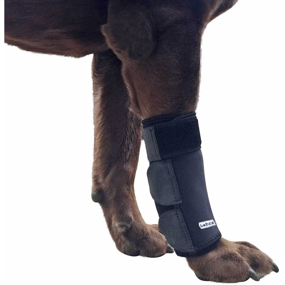 Dog Front Leg Compression Brace Sleeve R46701