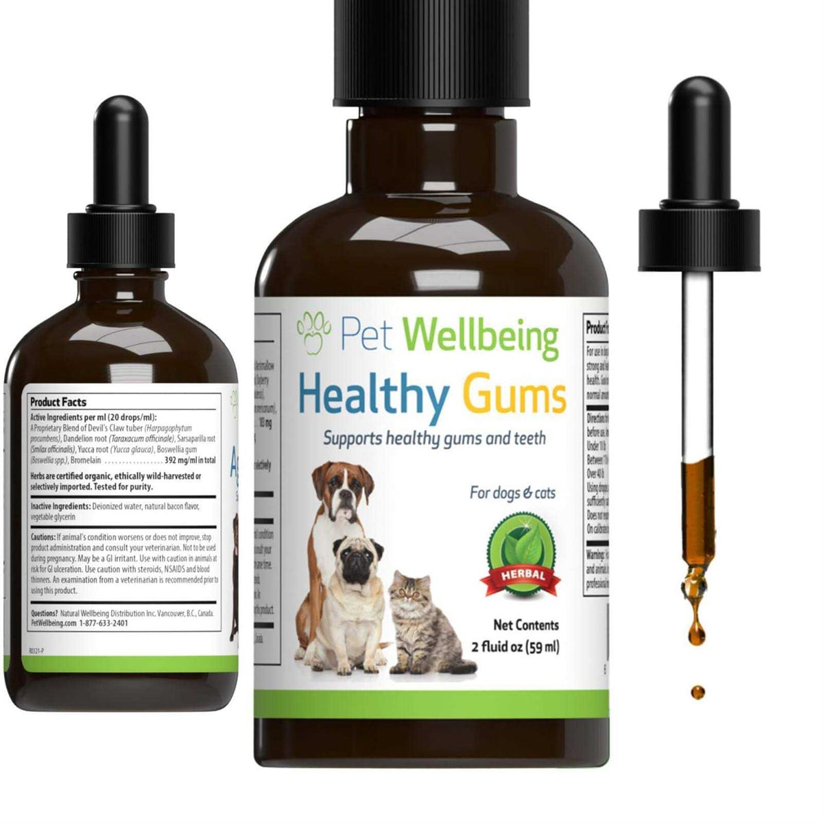 Healthy Gums for Feline Periodontal Health P755