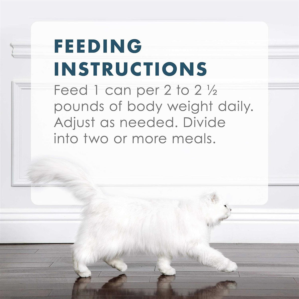 Tuna Recipe in Gravy Wet Cat Food B9603