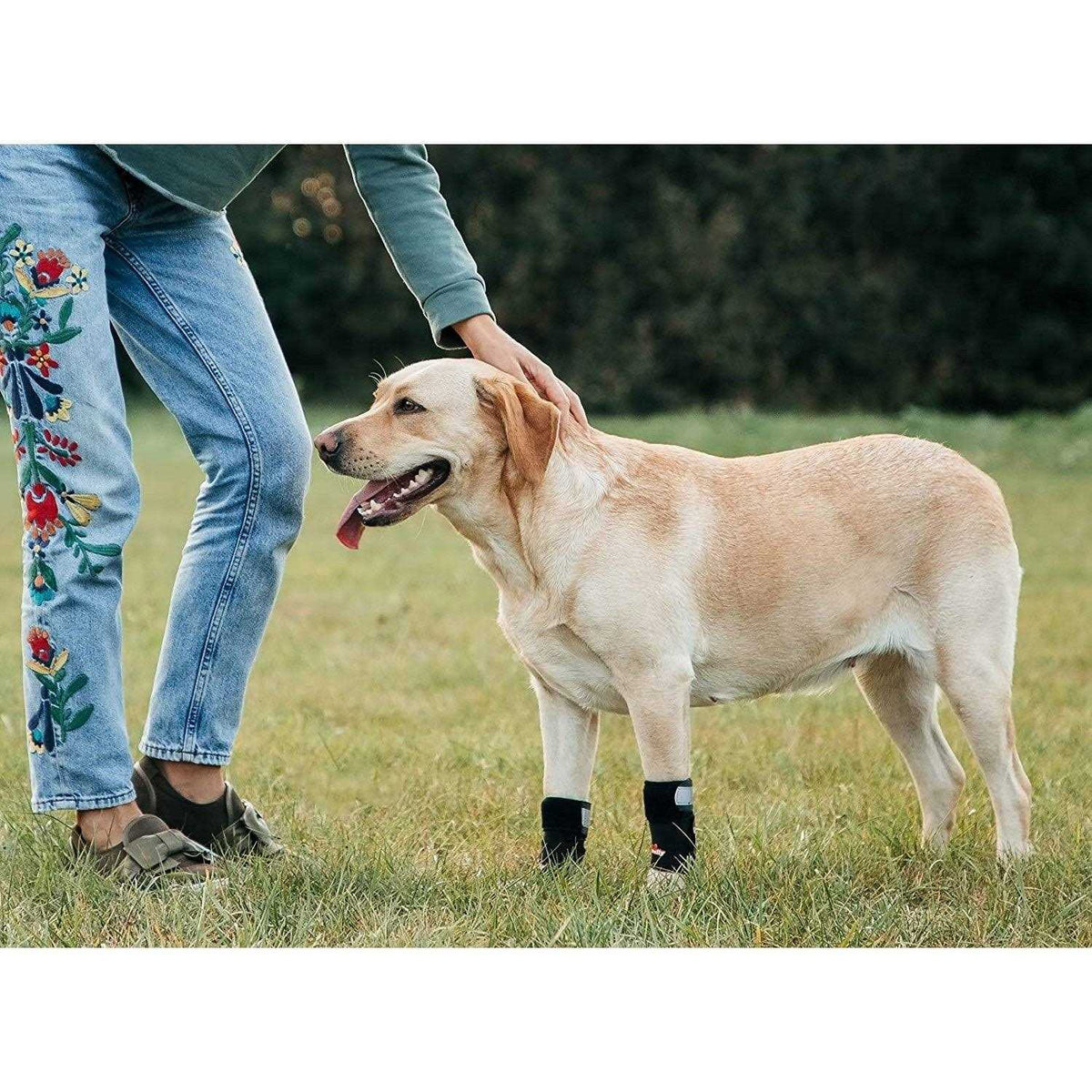 3-in-1 Dog Front Leg Support Brace M765