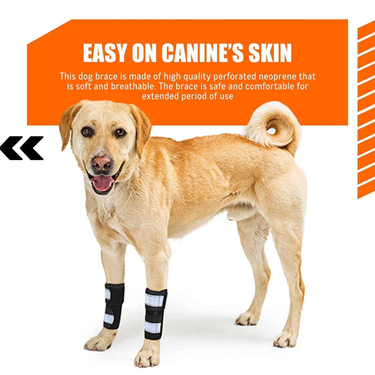 3-in-1 Dog Front Leg Support Brace M765