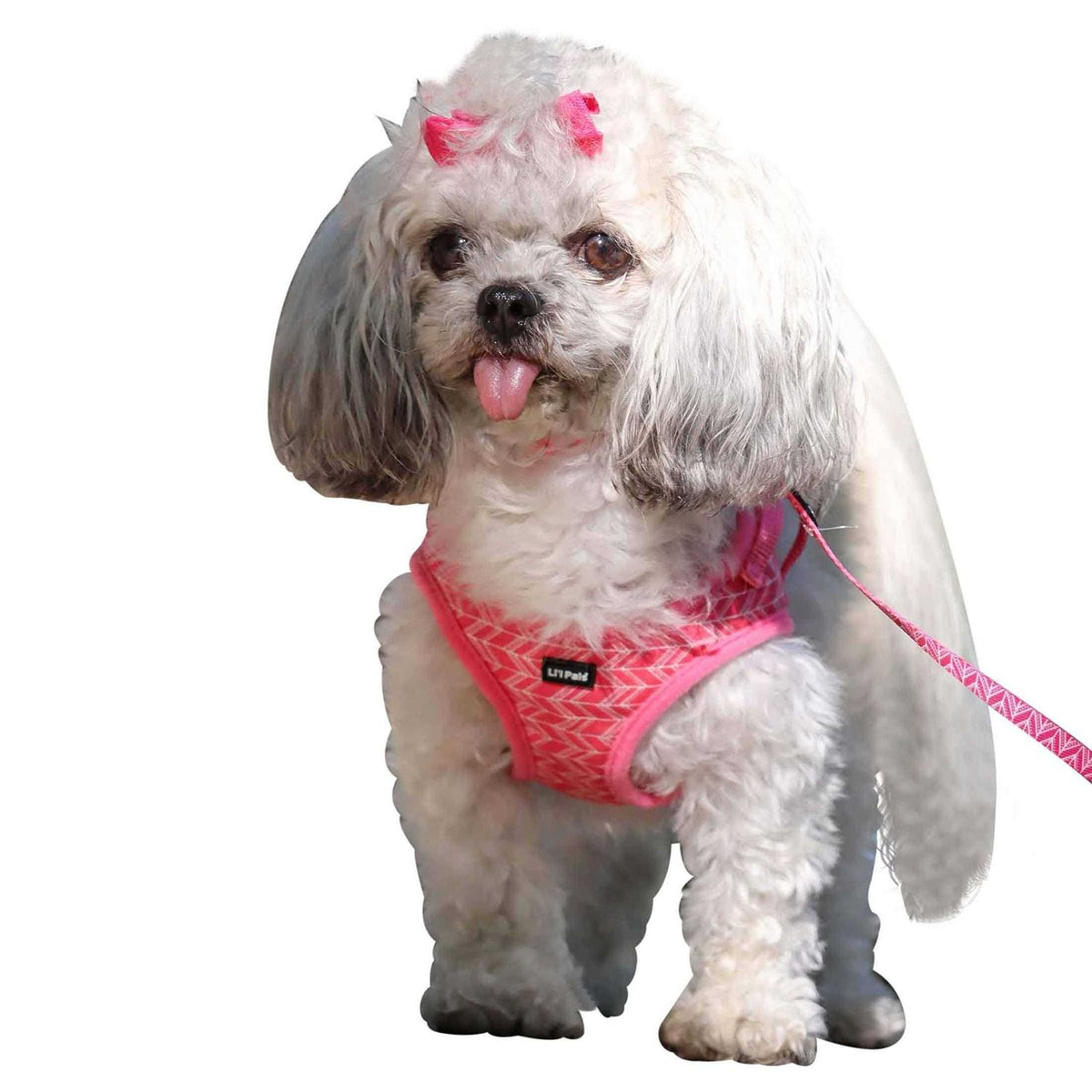 Canvas Dog Harness B455