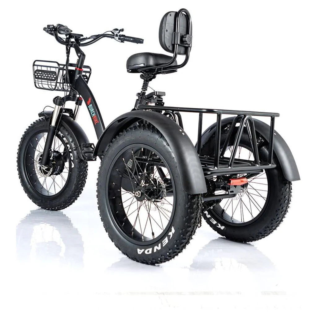 24 Inch Fat Tire 3 Wheel Electric Tricycle B9699
