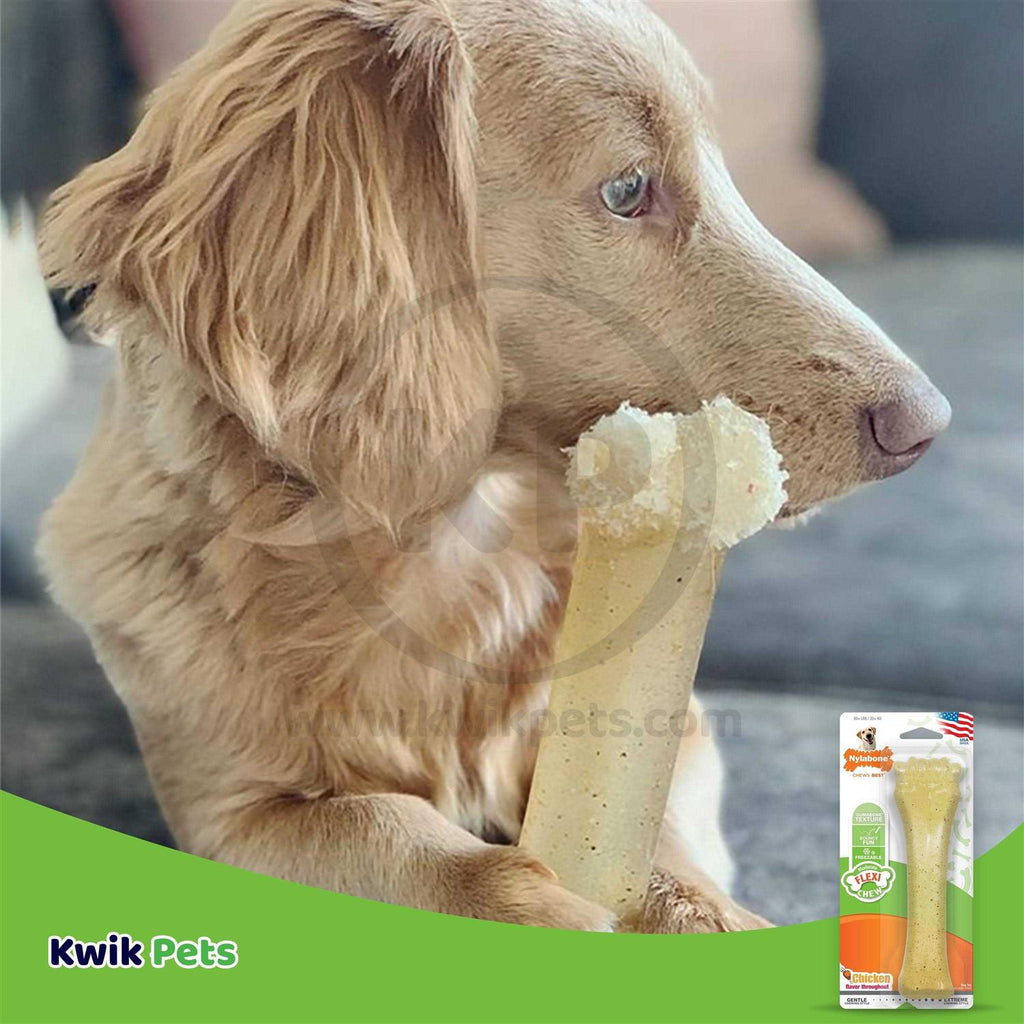 Chicken Chew Bone N607961