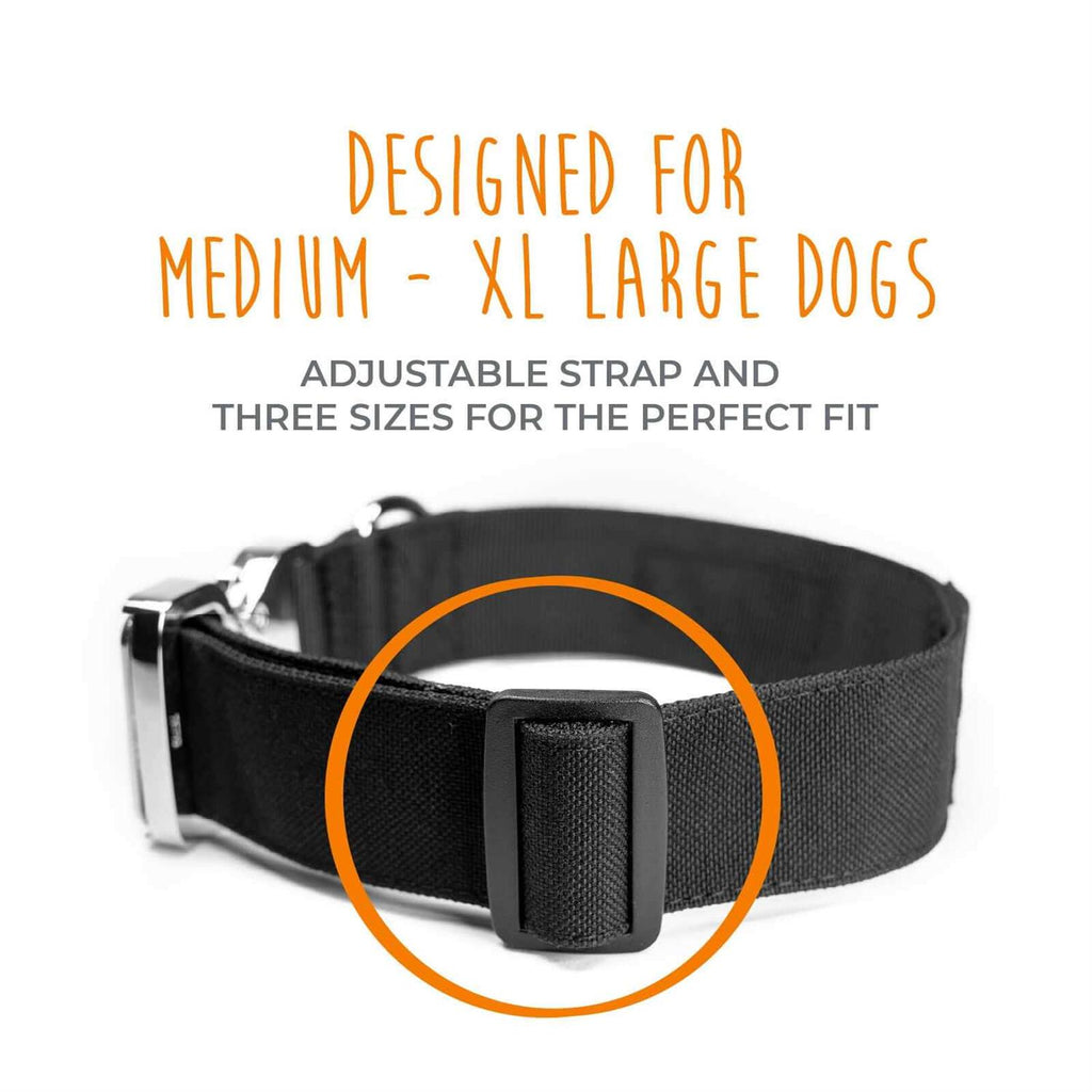 Heavy Duty Dog Collar with Metal Buckle Y45480