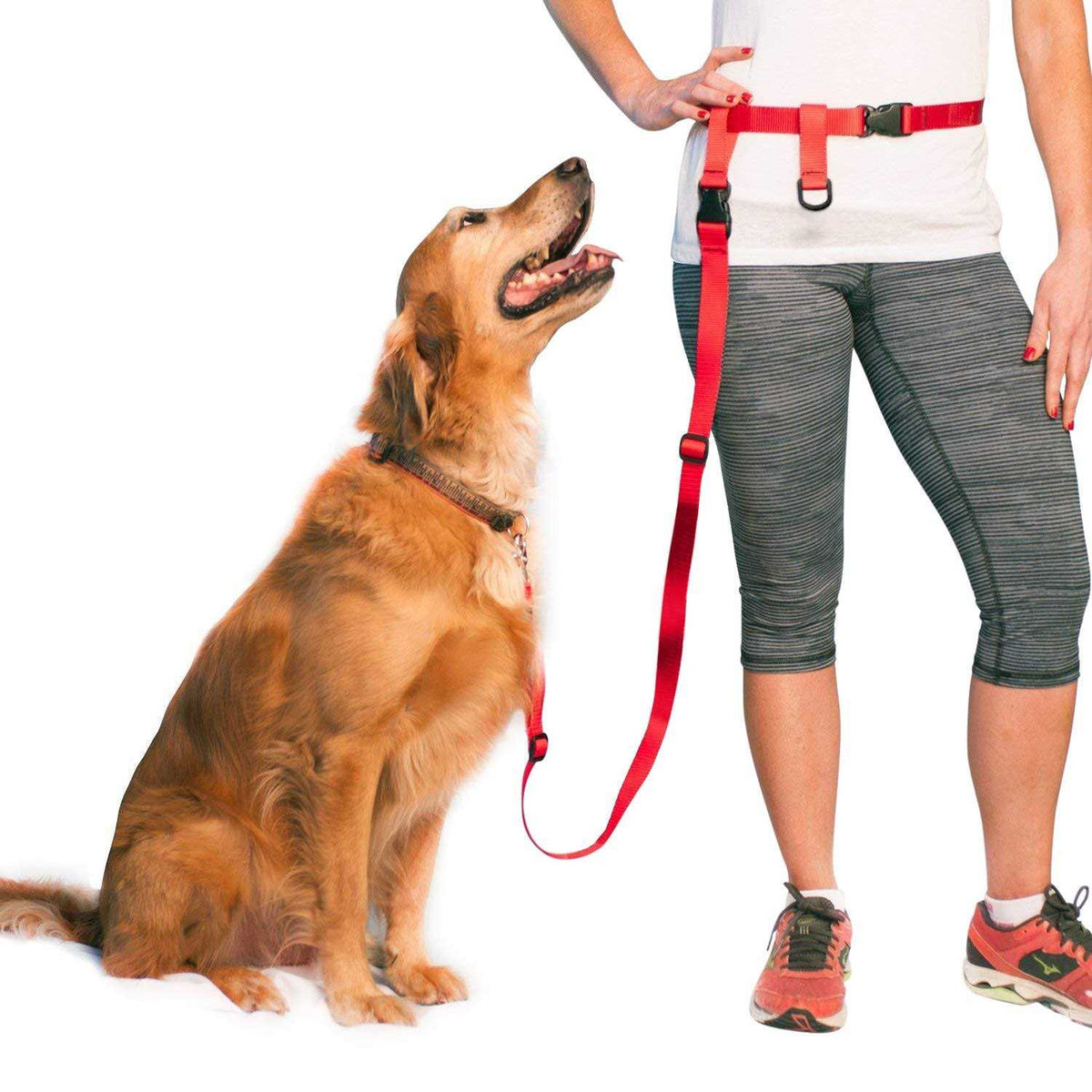 Adjustable Hands Free Dog Leash T16906