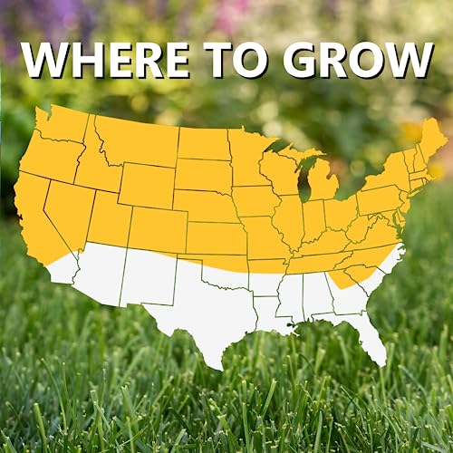 Black Beauty Grass Seed Mix, 25-Pound I88590