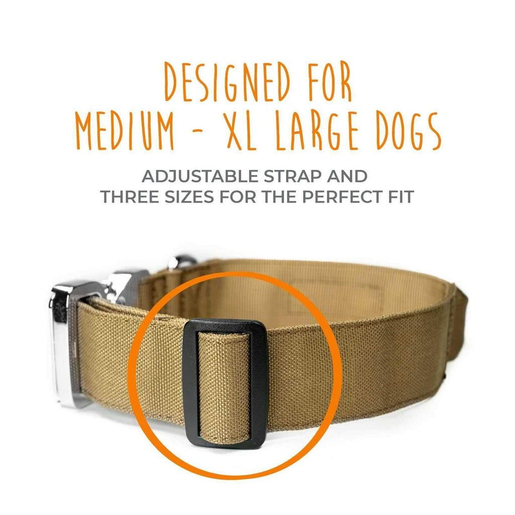Heavy Duty Dog Collar with Metal Buckle Y45480