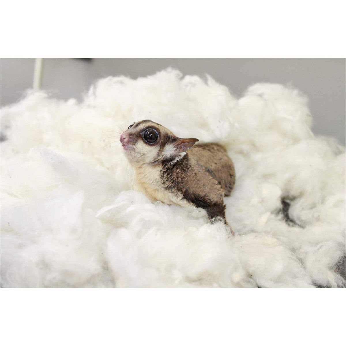 100% Cotton Animal Bedding D10474