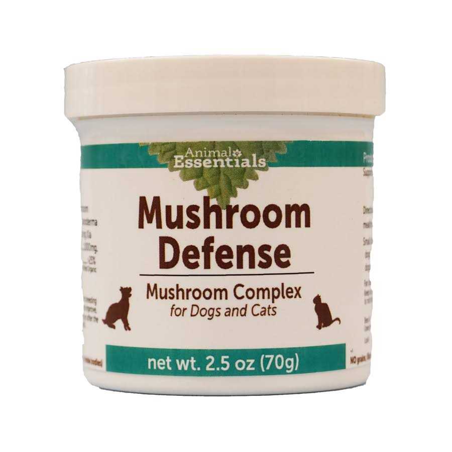 Mushroom Defense F716369