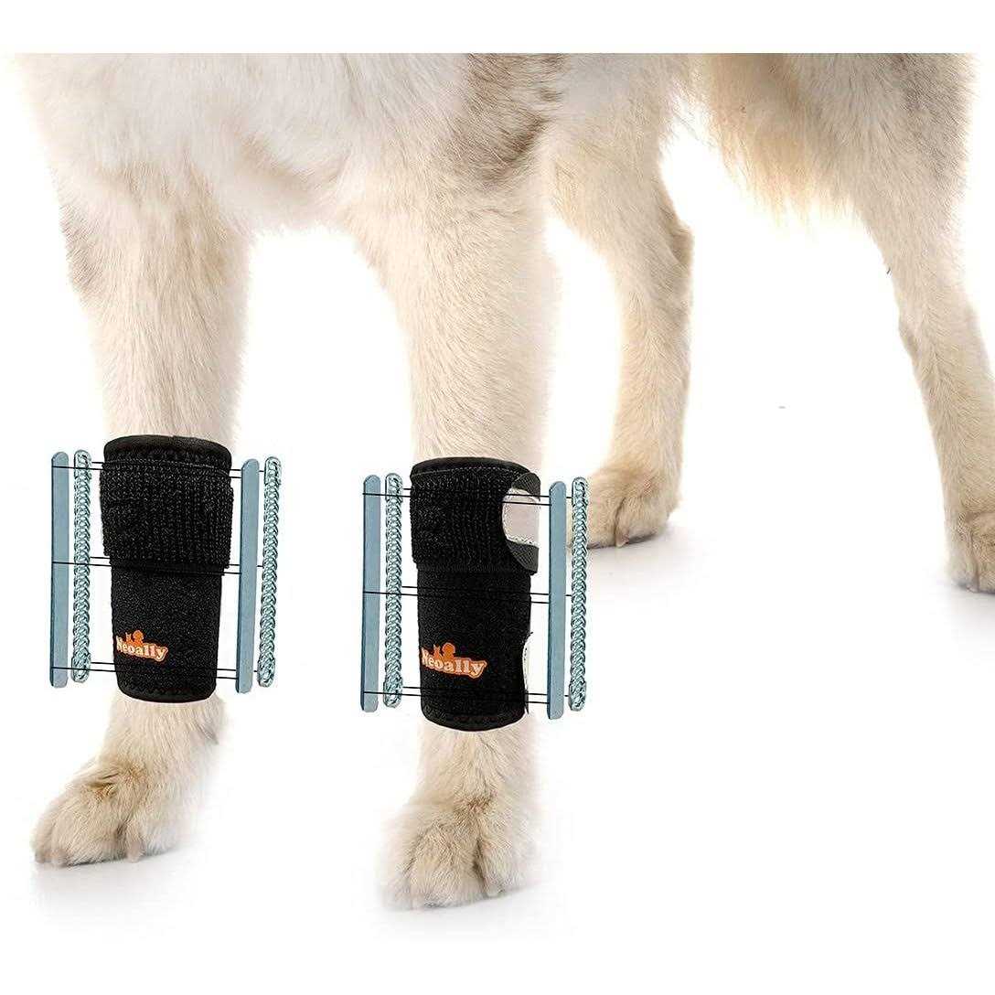 3-in-1 Dog Front Leg Support Brace M765