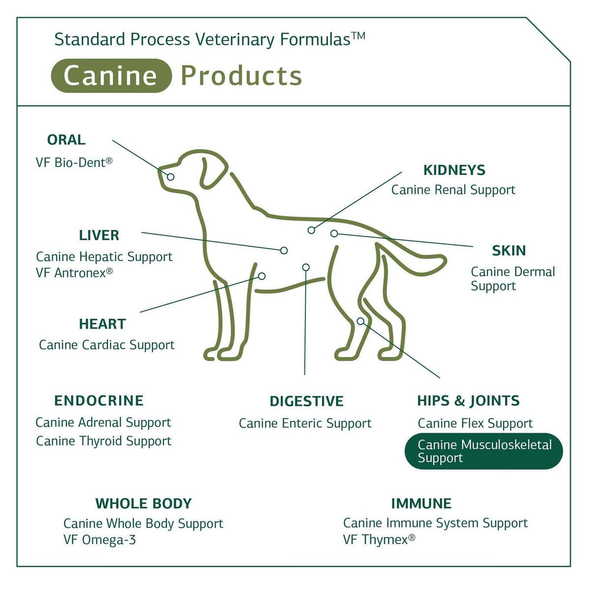 Canine Musculoskeletal Support Pet Supplies Z814