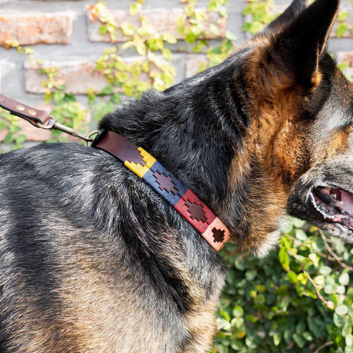 Leather Hand-Stitched Polo Dog Collar O18576